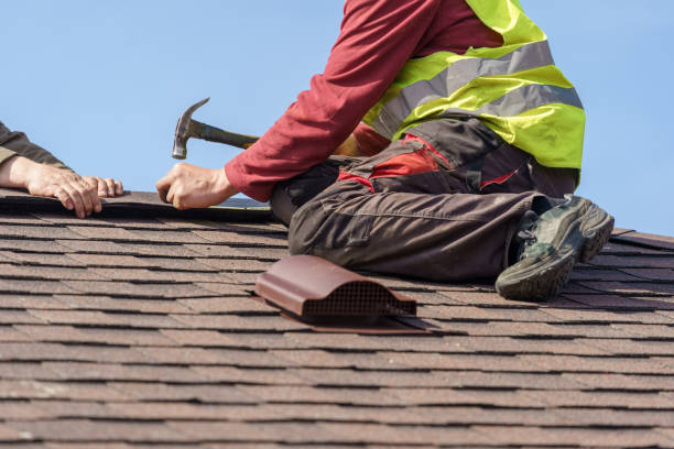 Best Roof Gutter Cleaning  in Osceola, WI