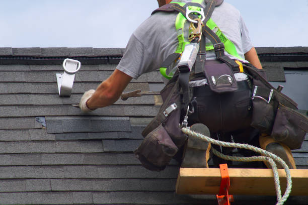 Best Roof Leak Repair  in Osceola, WI