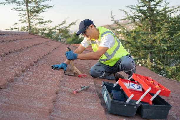 Best New Roof Installation  in Osceola, WI